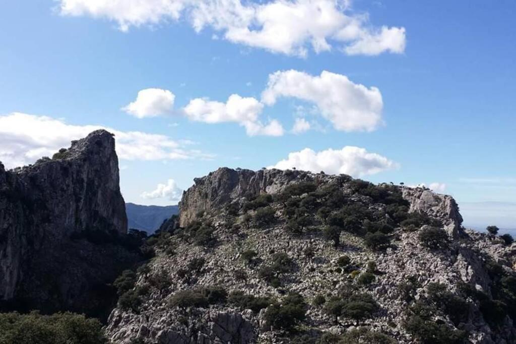 Huerta Grande Benaocaz